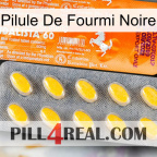 Black Ant Pill new05